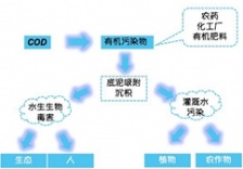  在線水質(zhì)監(jiān)測(cè)知識(shí)篇-化學(xué)需氧量COD