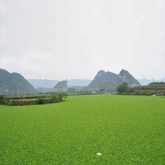  氣溫下降，我的氨氮超標(biāo)怎么辦