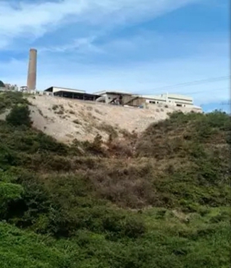 9月暗查發(fā)現(xiàn)永鑫公司廠(chǎng)區(qū)外林木受污染大量死亡