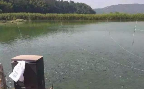 水渾了？不用怕，這五個(gè)方面讓水質(zhì)恢復(fù)清新